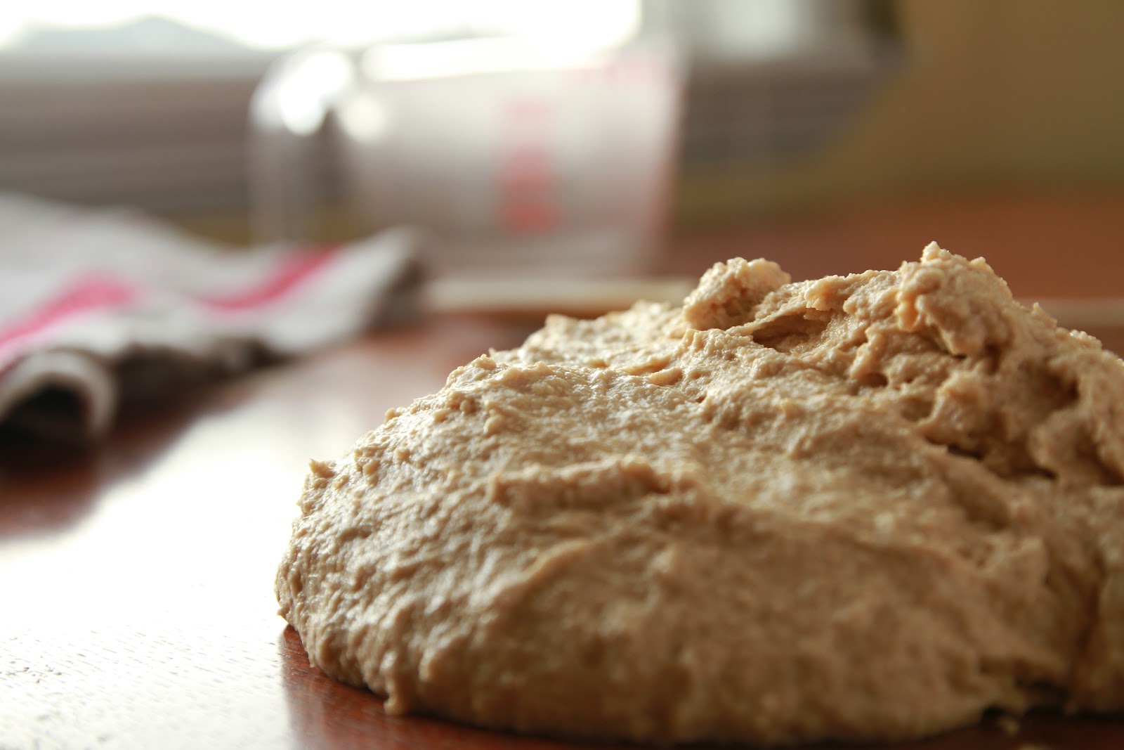 Backyard Renaissance with Caleb Warnock A Natural History of Yeast