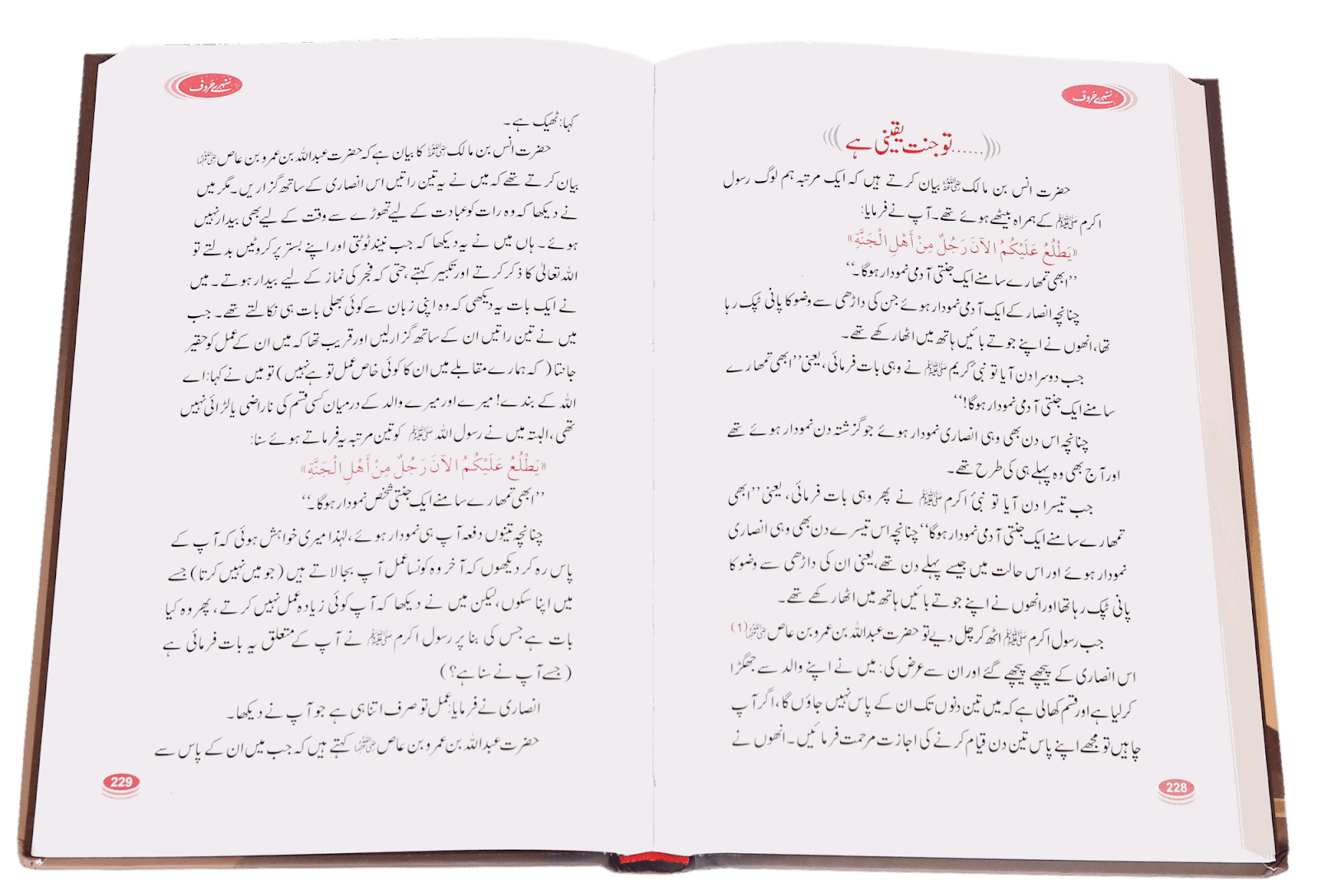 Sunehray Haroof - Image 4