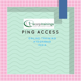 Ping Access training