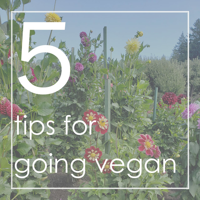 5 Tips for Going Vegan