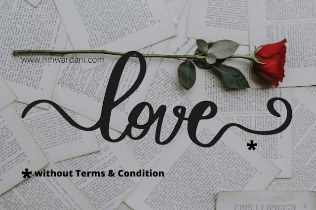 a rose and word love without terms and conditions