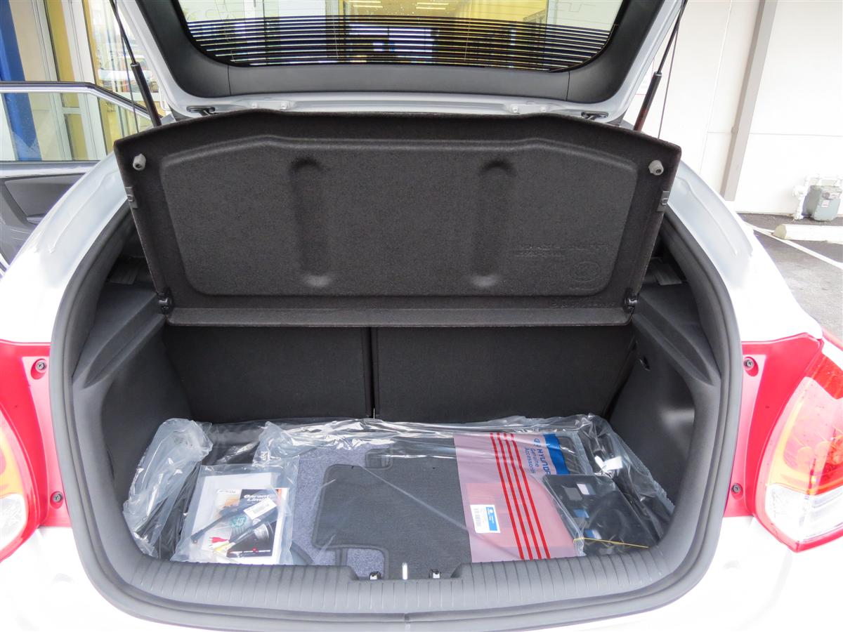 Agamemnon Hyundai Veloster Turbo