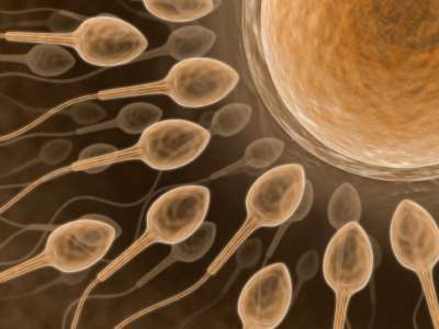 FERTILIDADE.jpg (400×300)