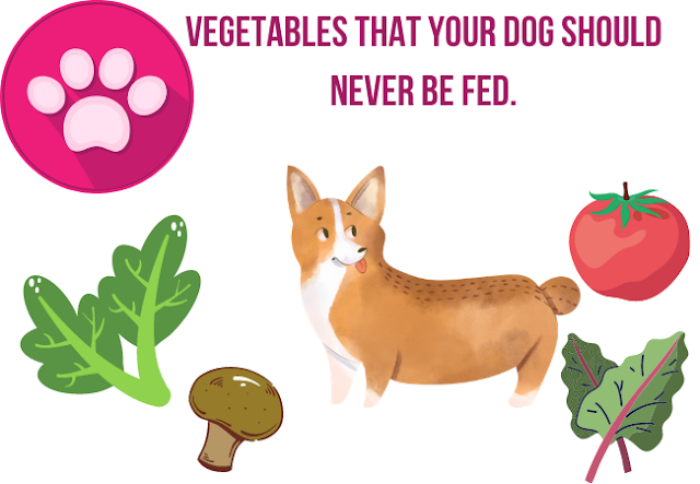 vegetebles that your dog should never be fed