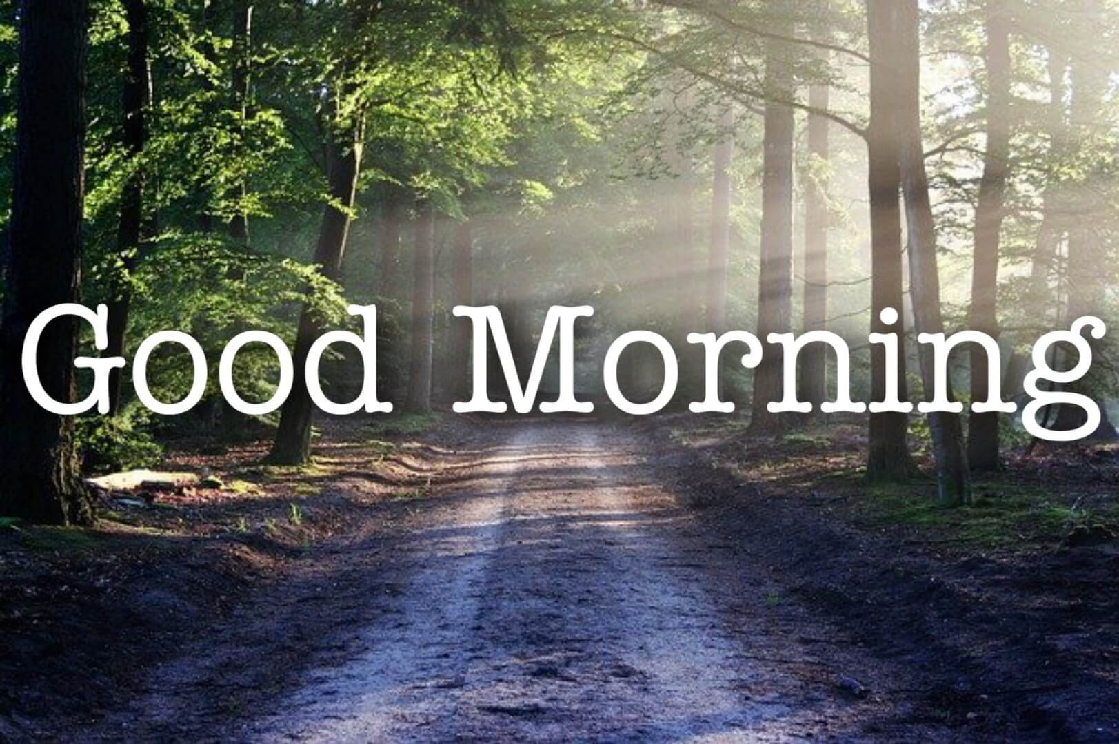 Ah good morning tik tok mp3 themeholden