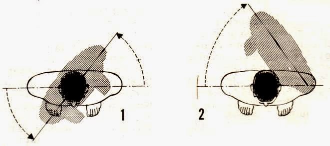 Judo Wiki Tai Sabaki