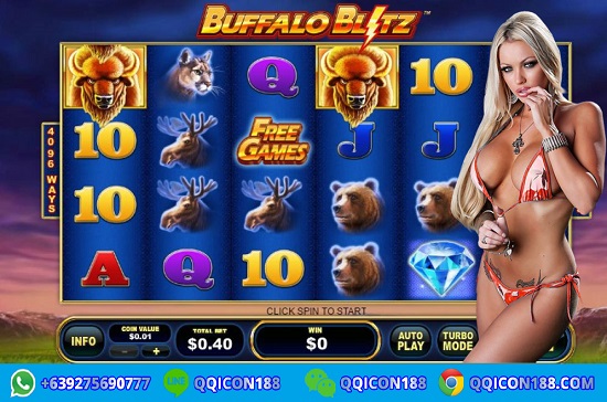 Blitz Blitz
