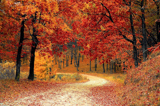 HD background image HD background image