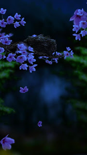 Season Zen Hd para android Season Zen Hd para android