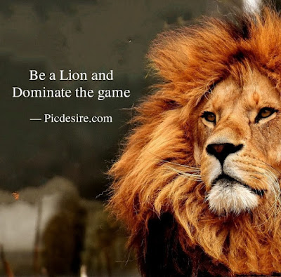 30 Motivational Lion Quotes for a Strong life