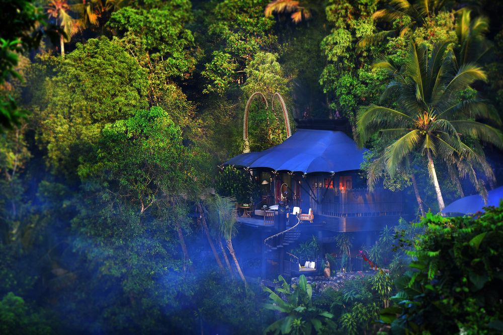 The First Ultra-Luxurious Camp in Indonesia by Capella - Capella Ubud
