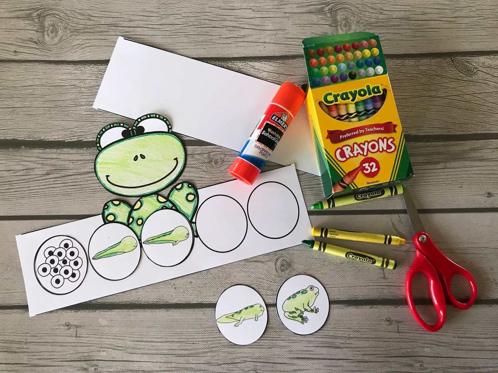 Life Cycle Hats (Frog, Butterfly, Chicken, Plant) | Mrs. McGinnis' Little Zizzers