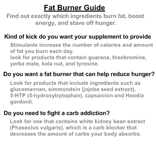 Fat Burners Supplement