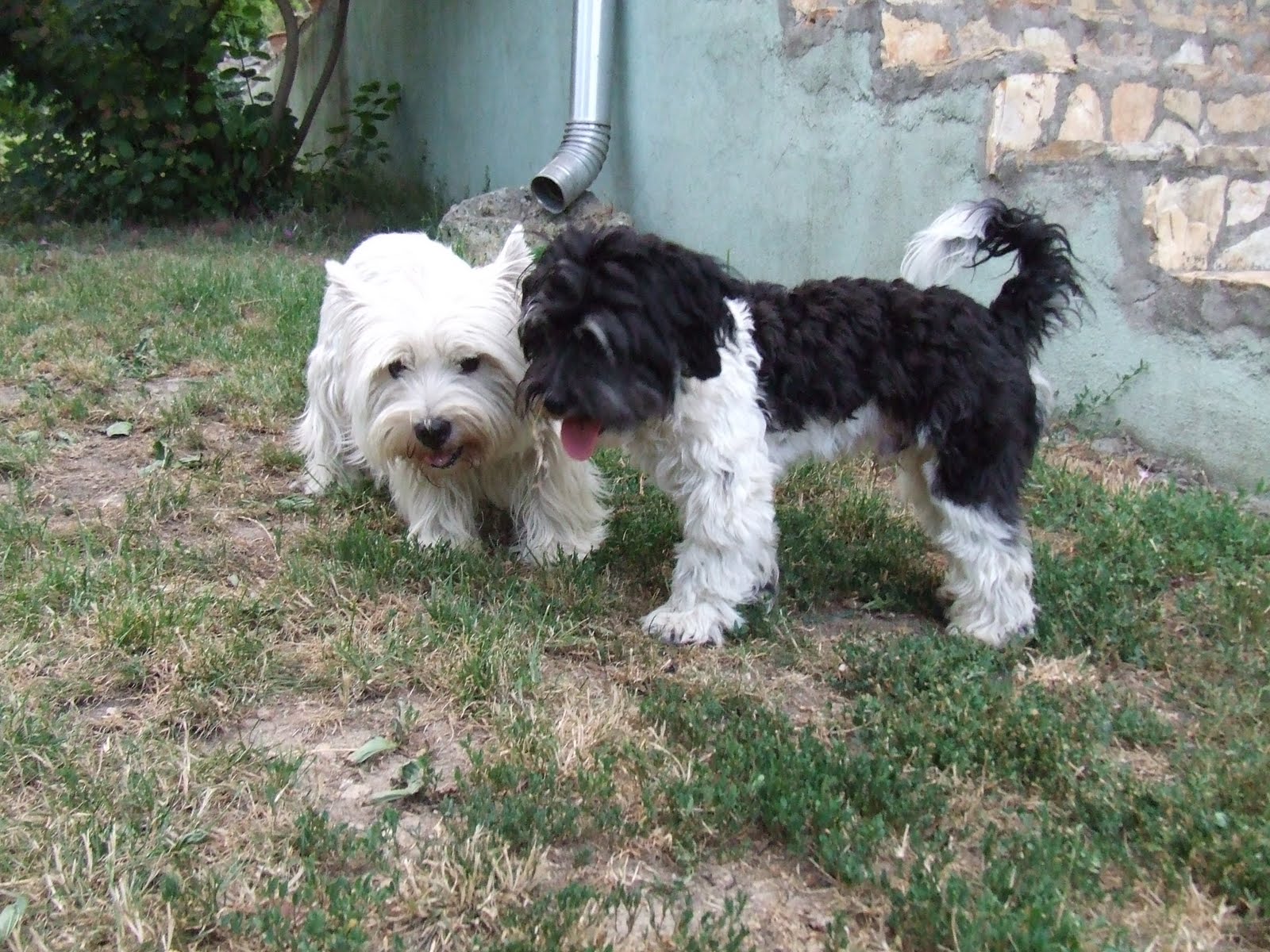 DSCF7778.JPG