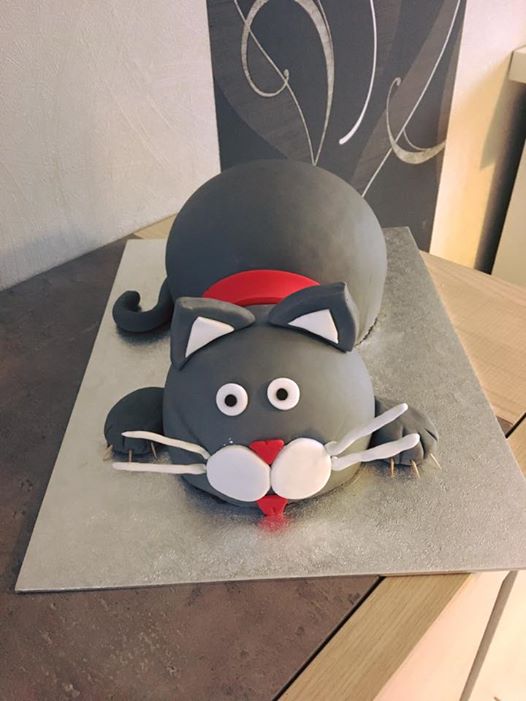 Mes Notes Sucrées: Gâteau Chat