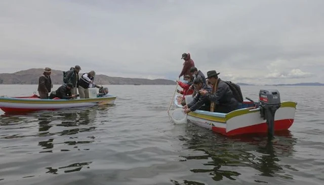 Perú y Bolivia se unen para recuperar la capacidad pesquera del Lago Titicaca