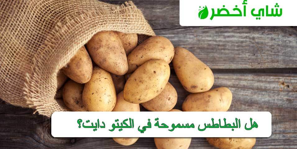 Sohati هل تعتبر البطاطس المسلوقة مفيدة للرجيم