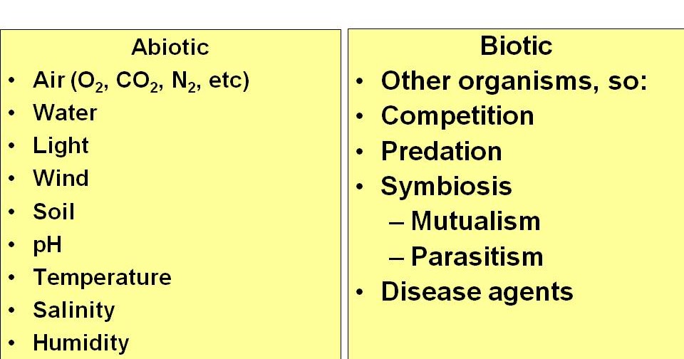 Mr. Pereira's Bio Blog: Chapter 3.3 Modeling Matter & Energy in Ecosystem