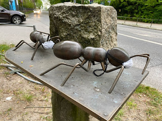 Foto von Alf Trojan