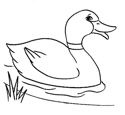 Line Drawing :: Clip Art :: Duck