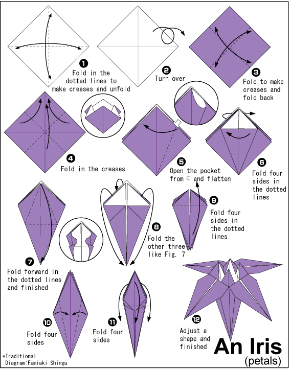Iris Easy Origami instructions For Kids