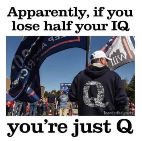 biden poll tattler