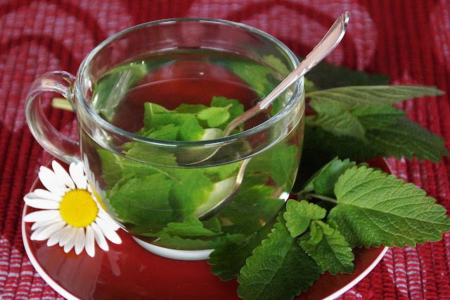 Stay healthy and fit in the monsoon Stay healthy and fit in the monsoon