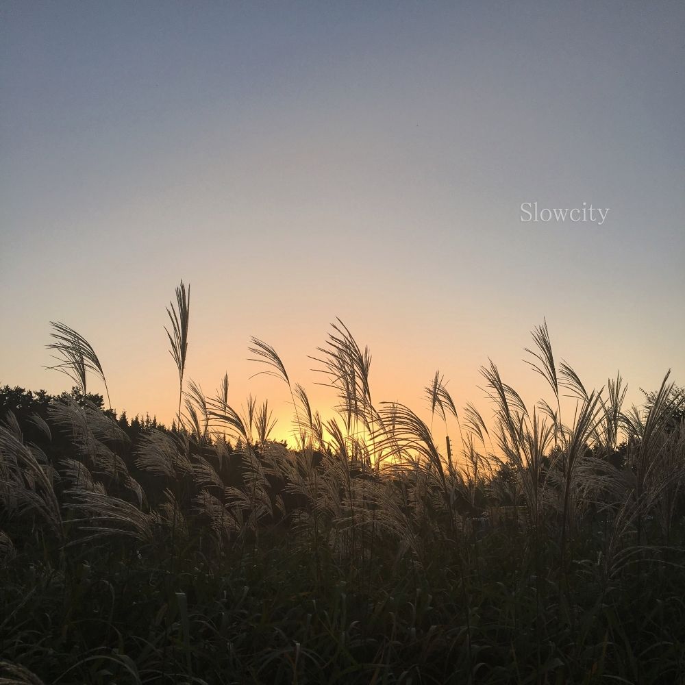 Slowcity – 왜냐하면 나는 널 – Single