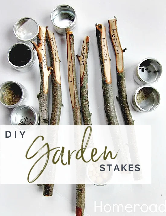 Garden stakes and seeds with Pinterest overlay