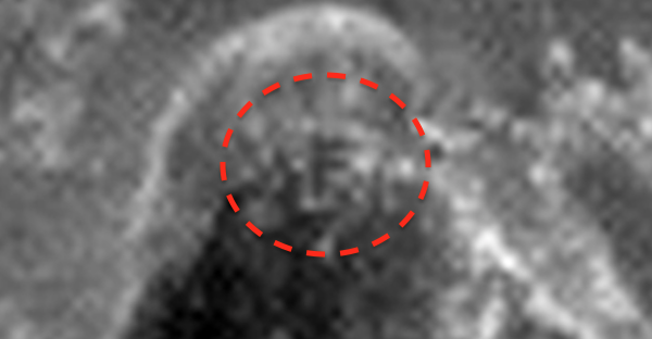 Letter F Found In Victoria Crater, Mars Letter%2BF%252C%2BCictoria%2BCrater%2B%252Cmouse%252C%2Bart%252C%2Bmuseum%252C%2Bfaces%252C%2Bface%252C%2Bevidence%252C%2Bdisclosure%252C%2BRussia%252C%2BMars%252C%2Bhorse%252C%2Brover%252C%2Briver%252C%2BAztec%252C%2BMayan%252C%2Bbiology%252C%2Btime%252C%2Btravel%252C%2Btraveler%252C%2Breal%252C%2BUFO%252C%2BUFOs%252C%2Bsighting%252C%2Bsightings%252C%2Balien%252C%2Baliens%252C%2Bradar11