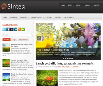 Sintea-Blogger-Temalari.jpg