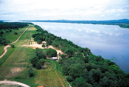 BRASIL REAL SANTA FÉ DO ARAGUAIA TOCANTINS