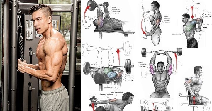 30 Minute Tricep Workout For Each Head for Push Pull Legs