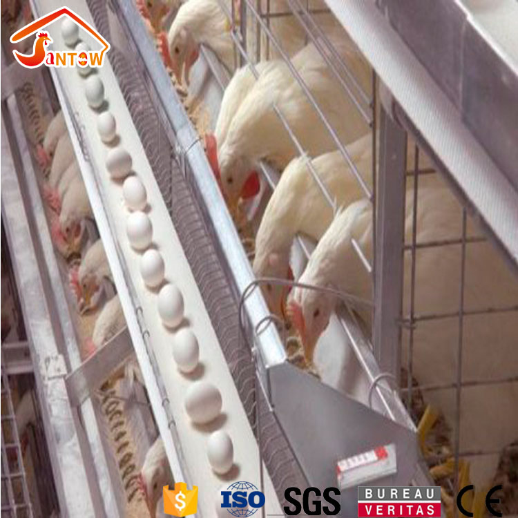 ZhengZhou Santow Agrihusbandry Equipment Co., Ltd. Automatic Egg