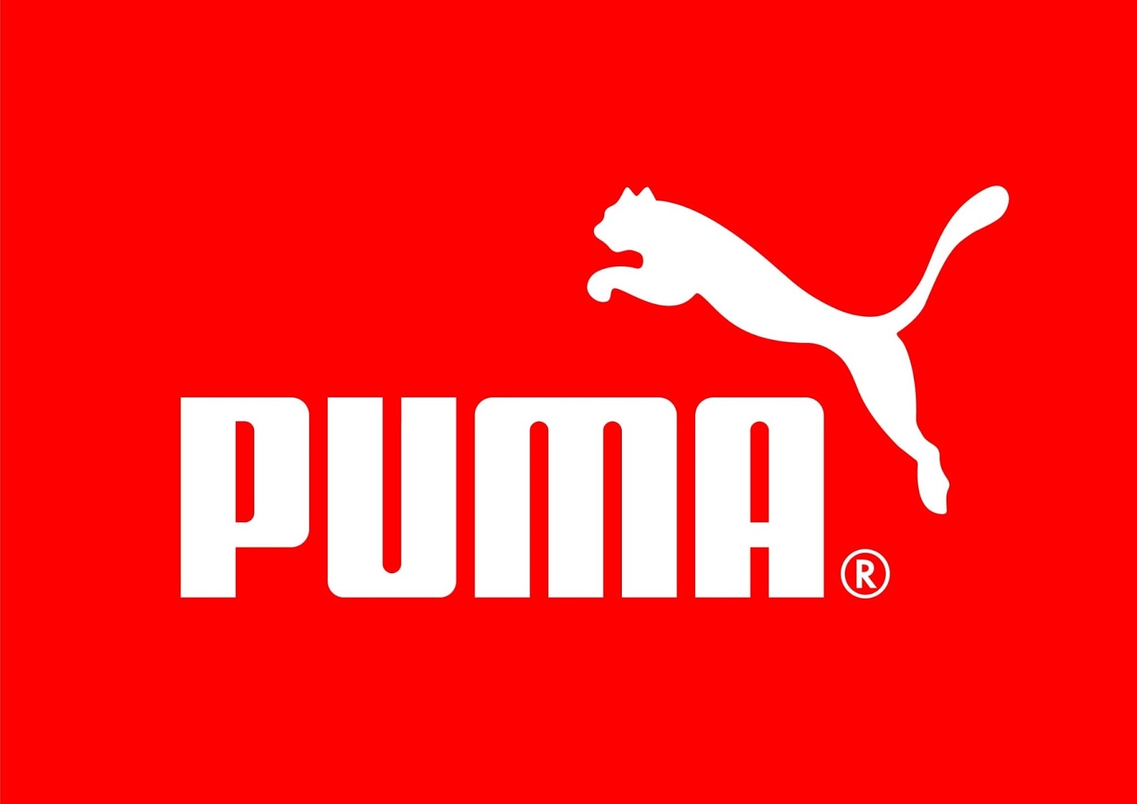 puma company background