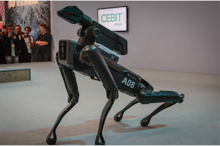  Boston Dynamics robot Dog