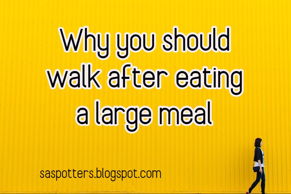 SA Spotters Should you walk after eating?
