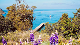Channel islands National park, California