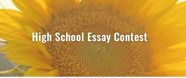 ibpf high school essay contest