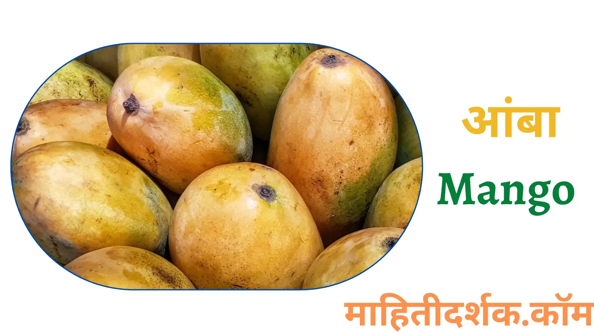 Fruit Name in Marathi