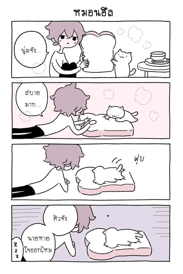Wonder Cat Kyuu-chan - หน้า 3