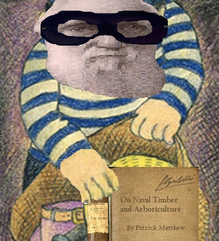 Burglar Darwin