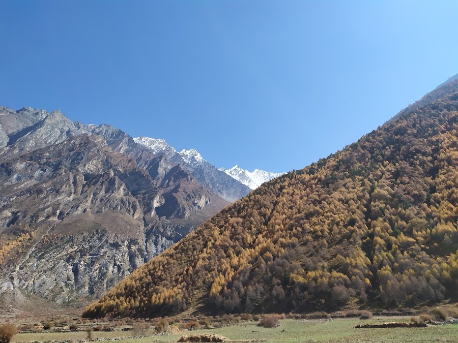 По долине Цум и вокруг Манаслу не галопом, ноябрь 2019.