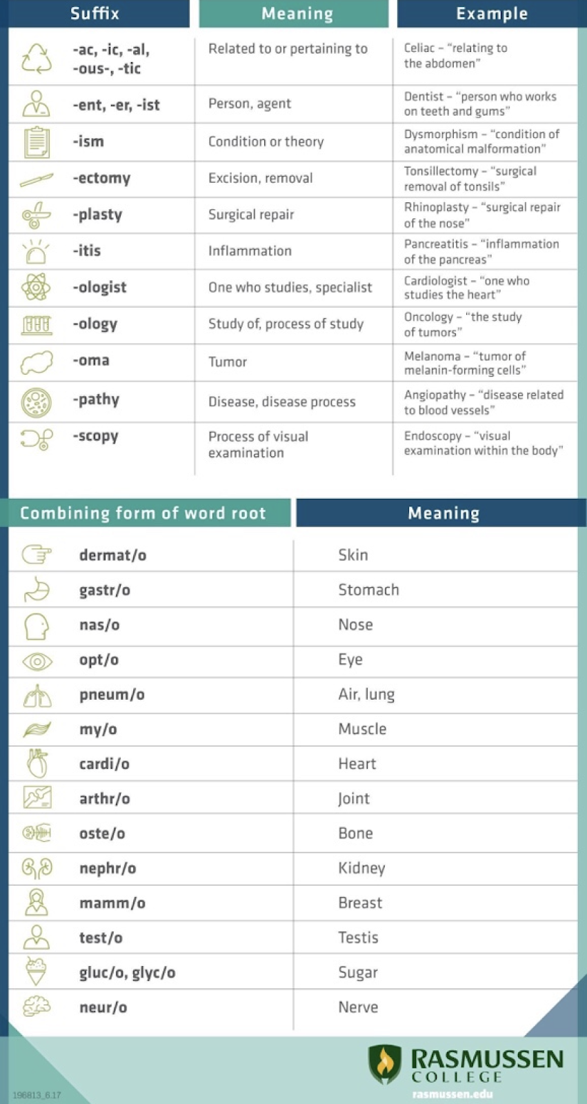 Skip's House of Chaos: Medical Terminology Cheat Sheet