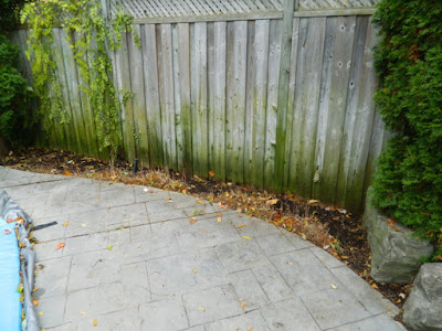 Bedford Park Fall Cleanup Backyard After by Paul Jung Gardening Services--a Toronto Gardening Company Bedford Park Fall Cleanup Backyard After by Paul Jung Gardening Services--a Toronto Gardening Company