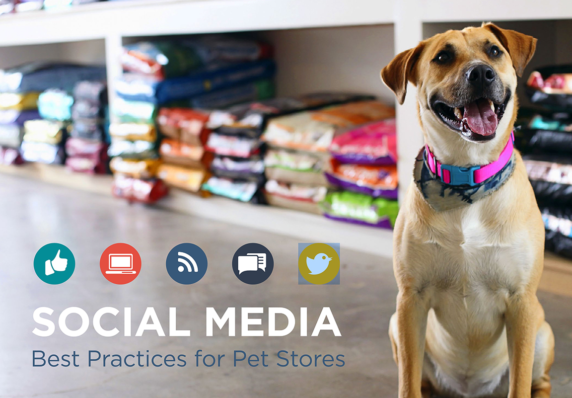 Paradigm InfoStream DIGITAL Social Media Best Practices for Pet Stores