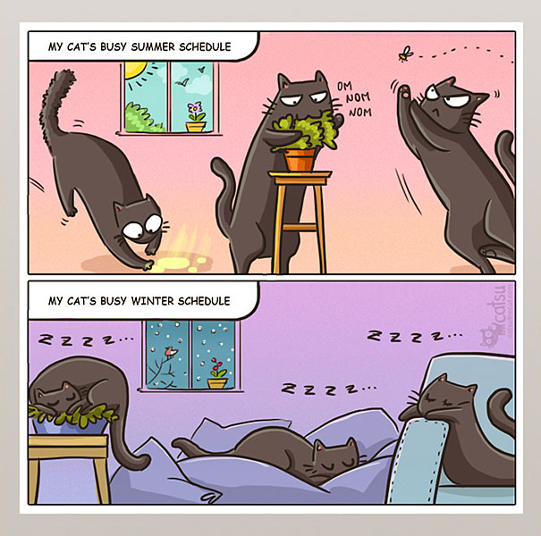 15+ Comics That Purrfectly Capture Life With Cats 15+ Comics That Purrfectly Capture Life With Cats