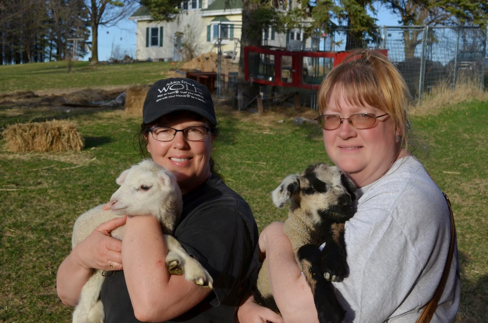 Jeanne and Trisha with their new little lambs (Trisha Field)