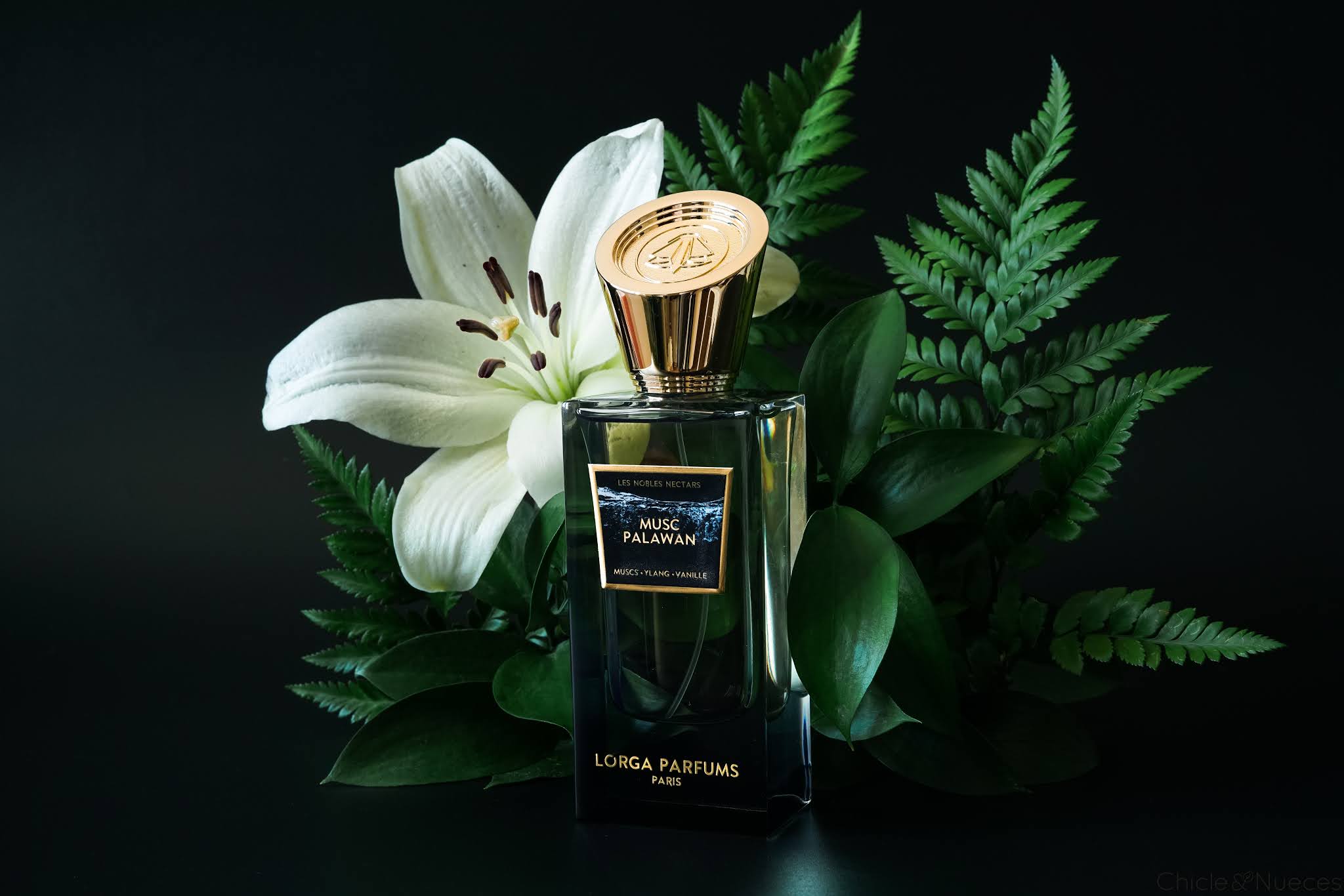 Parfums ı Nobile Nectars Musc Palawan Chicle&Nueces