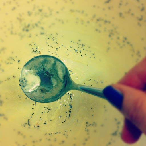 glass of fashion Austrian PoppySeed Cake!